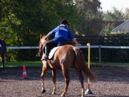 IMG_7202_web